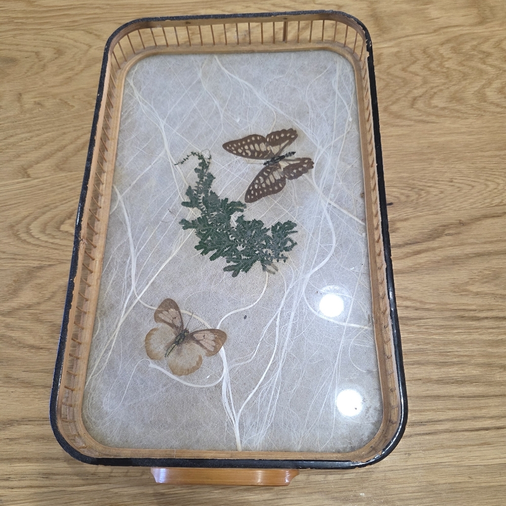 Vintage Butterfly and Fern Tray